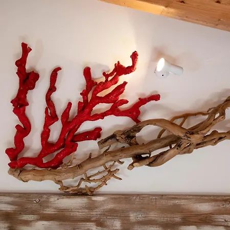 209 Corallo, Giardino E Piscina - Cherry House Appartement Carro