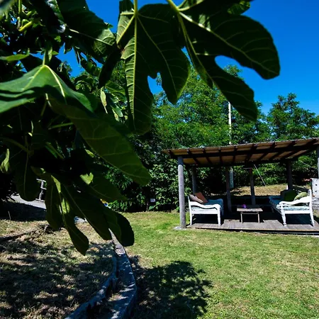209 Corallo, Giardino E Piscina - Cherry House